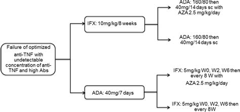 Addition Of Azathioprine To The Switch Of Anti Tnf In Patients With Ibd In Clinical Relapse With