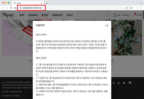 이용약관 및 개인정보처리방침 Url 주소 노출하기 카카오페이 구매 애드리빙 관리페이지 개요