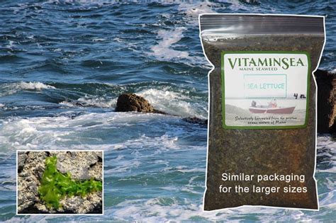 Wild North Atlantic Sea Lettuce Flakes Edible Atlantic Sea Vegetables Hand Harvested From Off