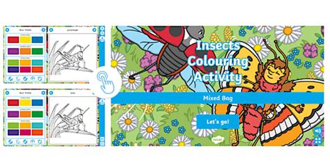 Insects Interactive Colouring Teacher Made Twinkl