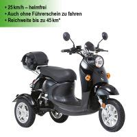 Rolektro Elektro Trike E Roller Maximus Rad E Mobil Mx Lithium