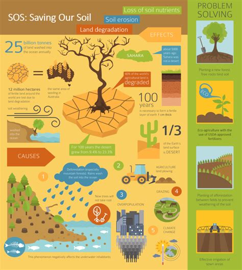 Desertification Infographic