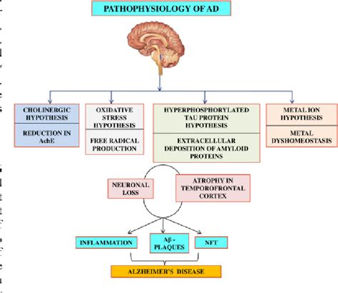 [pdf] Pathophysiology And Management Of Alzheimer’s Disease An Overview Semantic Scholar