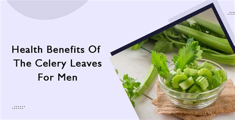 Health Benefits of the Celery Leaves for Men -Complete Guide