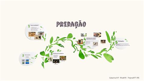 Predaçao by Marta Vitorino on Prezi