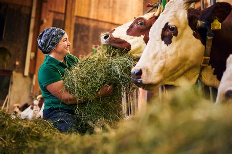 Milch Schwarzwald Tourismus GmbH