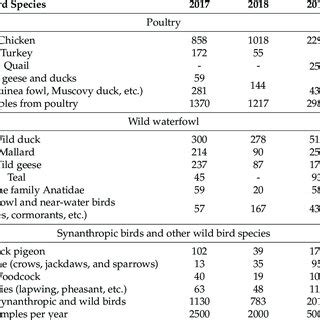 Species and groups of birds from which samples were obtained ...