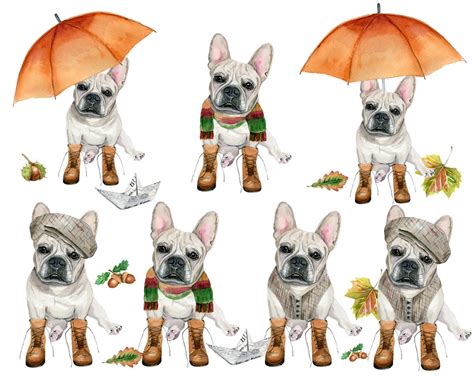 Watercolor Dog Clipart, Fall Clip Art, Water Color French Bulldog ...