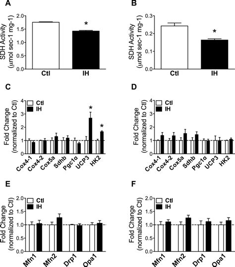 Indices Of Mitochondrial Function In Diaphragm And Limb Muscle After