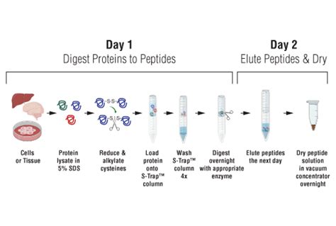 Ptmscan Hs Sumo Immunoenrichment Companion Reagents Kit Cell