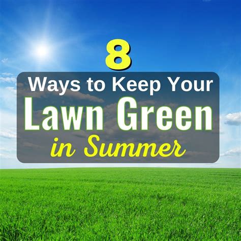 Lawn Green In Summer Dry Summer Green Lawn What Can I Do Lawn Care