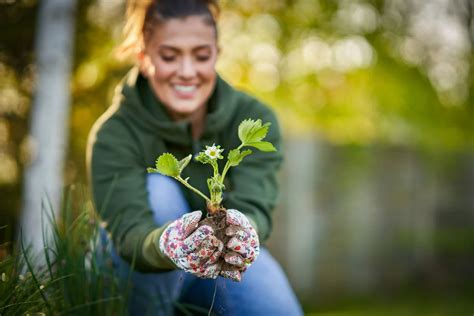 7 conseils pour préparer votre jardin pour l automne dès aujourd hui