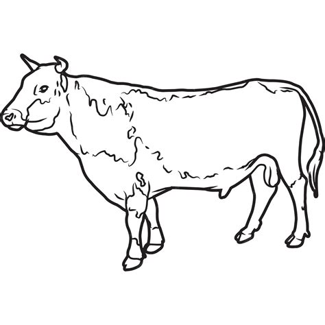 Premium Vector Hand Sketched Hand Drawn Randall Bull Vector