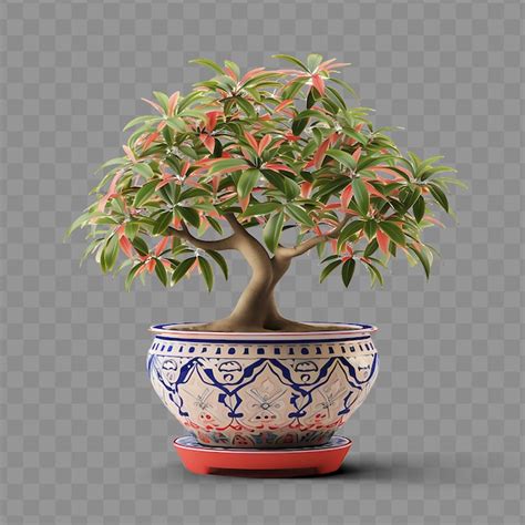 Premium PSD A Potted Plant With A Red Flower On It