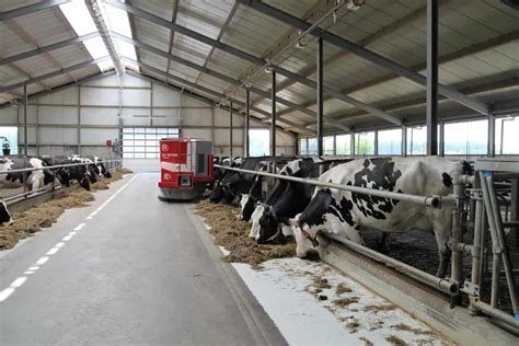 How To Start Dairy Farming From Scratch A Complete Guide For Beginners