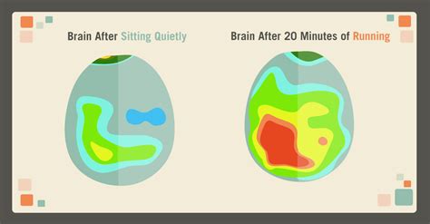 The Effects Of Exercise On The Brain Pain Management Injury Relief