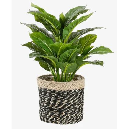 Mica Decorations Pot De Fleurs Panier A Plantes En Rotin 18 Cm