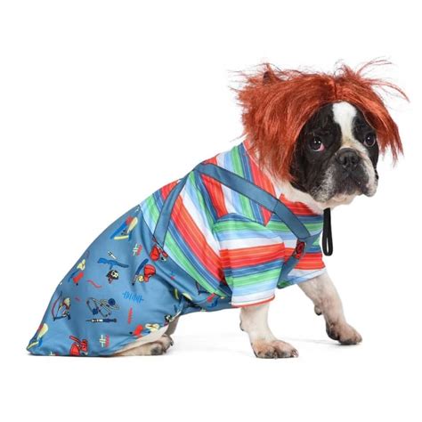 Top 10 2023 Cutest Halloween Costumes for Your Dog | Best Picks