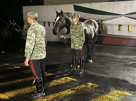 Así se preparó la caballería del Ejército Mexicano para el desfile en CDMX