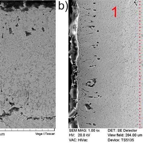 Sem Microstructure Of The Gas Borided Inconel 600 Alloy A Sample Download Scientific Diagram