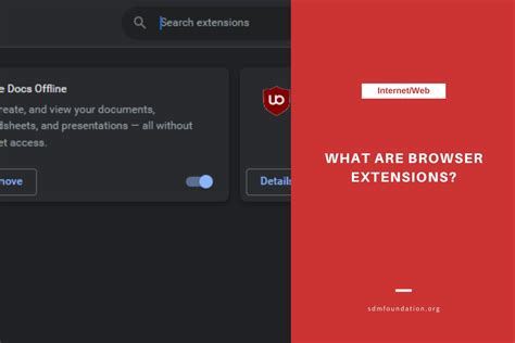 What are Browser Extensions? - SDM Foundation