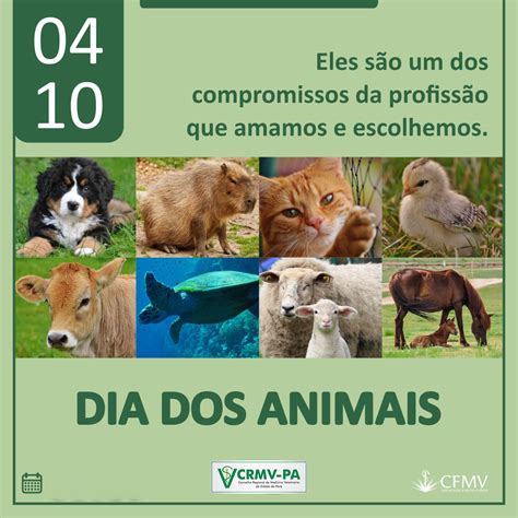 DIA DOS ANIMAIS CRMV PA