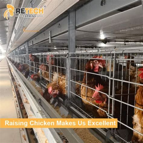 Automatic H Type 4 Tiers Poultry Farm Layer Chicken Cage In Indonesia