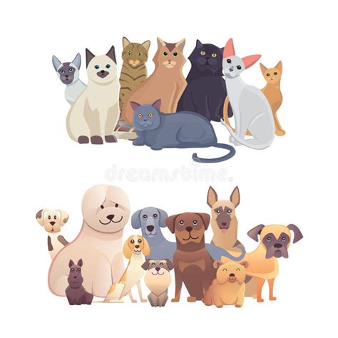 Standing Cats Front And Back Border Set Stock Vector Illustration Of