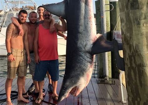 Pescadores Atrapan Tibur N Mako Gigante Y Hacen Historia La Teja