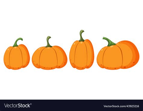 Set of different pumpkin shapes Royalty Free Vector Image