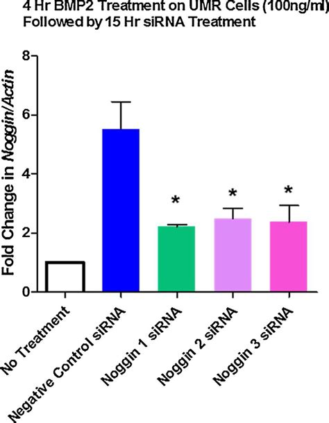 Noggin Sirna Screening A Library Of Three Different Noggin Sirnas Was Download Scientific