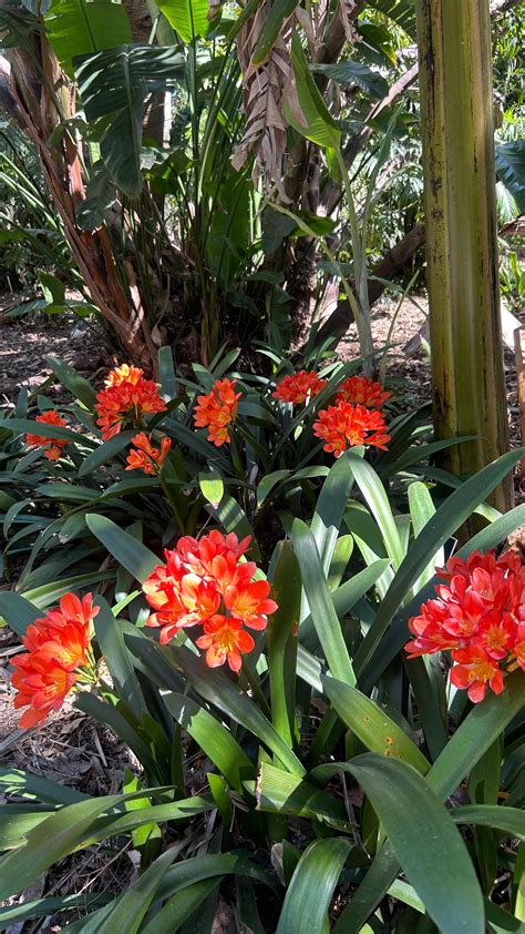 Alli Fitz (@allicatttx) • Instagram photos and videos