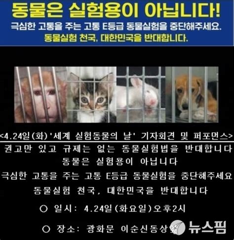 작년 308만 마리 희생세계 실험동물의 날 동물실험 중단 촉구