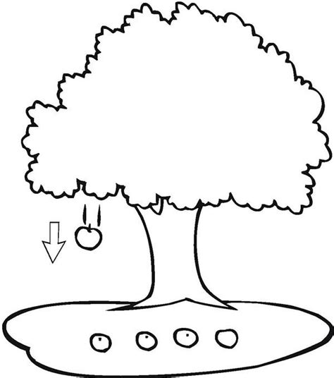 Apple Falling From Tree Clipart - ClipArt Best