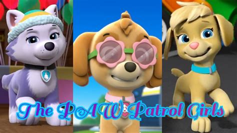 The Paw Patrol Girls Paw Patrol Fan Universe Wiki Fandom