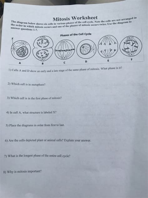 Solved The Diagram Below Shows Six Cells In Various Phases Worksheets Library