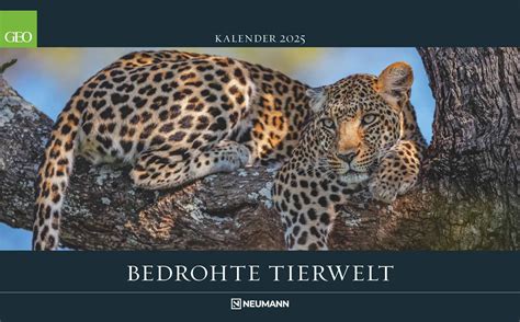 Geo Bedrohte Tierwelt Wand Kalender Tier Kalender Poster