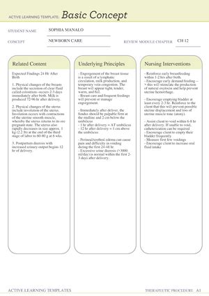 Worksheet 3 Disaster Assessment BSN 325 Disaster Assessment Part I