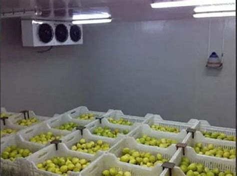 Lemon Cold Storage, Cold Storage For Lemon Manufacturer