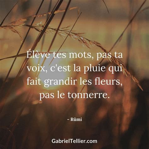 Les Plus Beaux Proverbes Partager Les Plus Beaux Proverbes