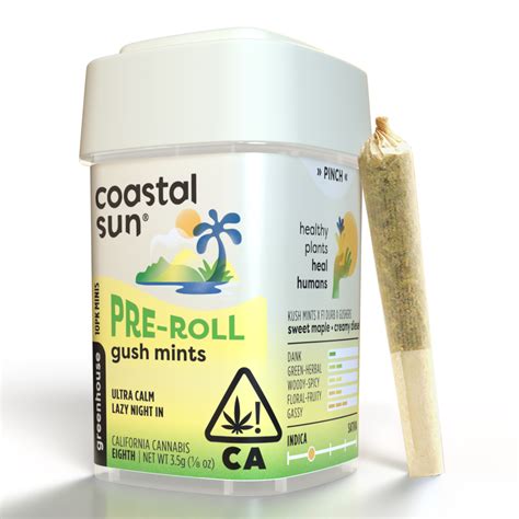 Gush Mints 35g Coastal Sun 10 Pack Greenhouse Pre Roll Jane