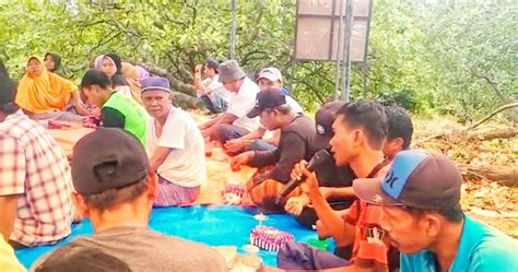 Sosialisasi Mitigasi Dan Adaptasi Dampak Perubahan Iklim Tanaman Jambu