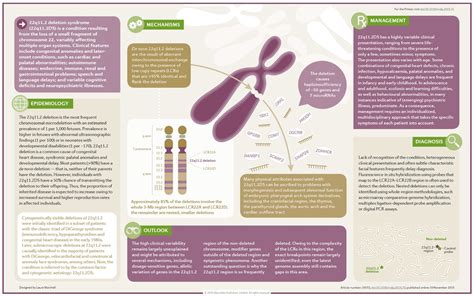 Q Deletion Syndrome Nature Reviews Disease Primers