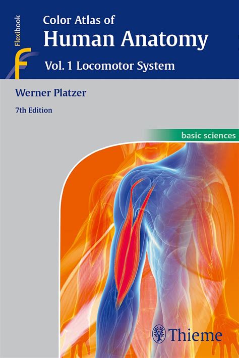 Color Atlas Of Human Anatomy Vol Locomotor System Color Atlas Of