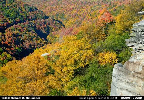 Lindy Point Overlook Picture October From Blackwater