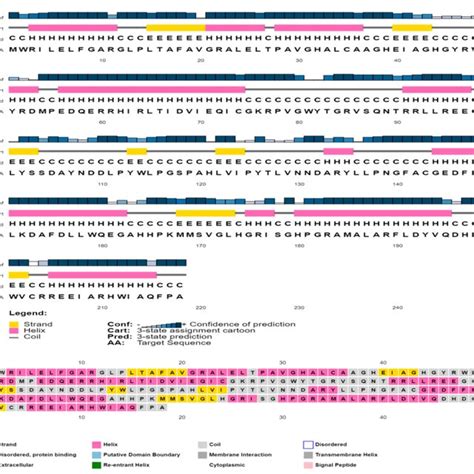 Secondary Structure Prediction Of P Putida Xylanase By Psipred 40