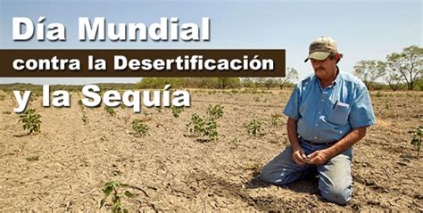 Día Mundial De Lucha Contra La Desertificación Y La Sequía 17 De Junio