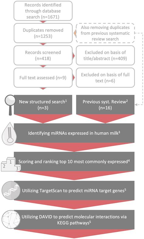 Frontiers Breast Milk Micrornas Potential Players In Oral Tolerance