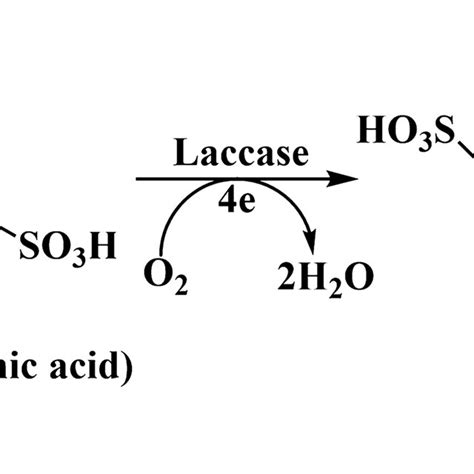 Effects Of Free Laccase Laccase Cu Po And Sa Laccase Cu Po