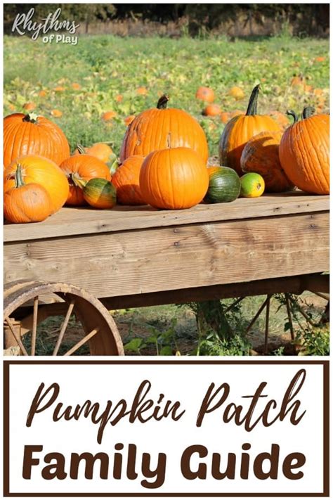 Pumpkin Patch Field Trip Activities And Ideas Rhythms Of Play